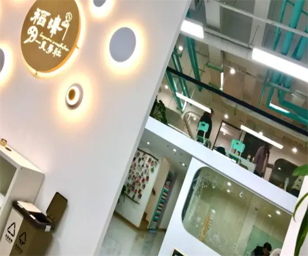 稻泽美学社