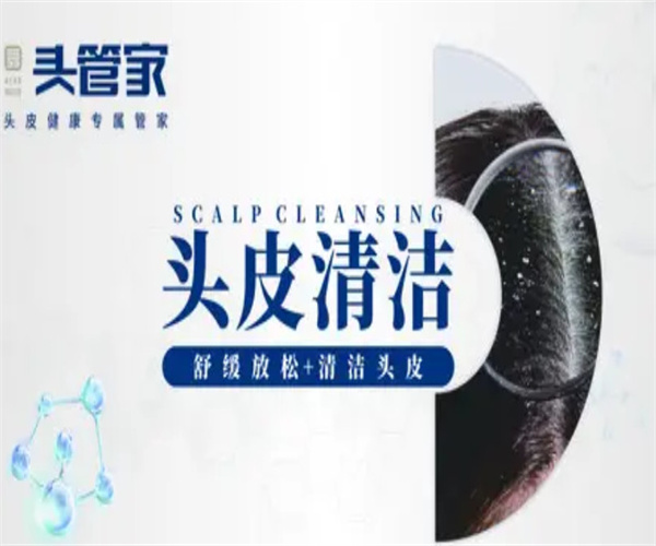 头管家