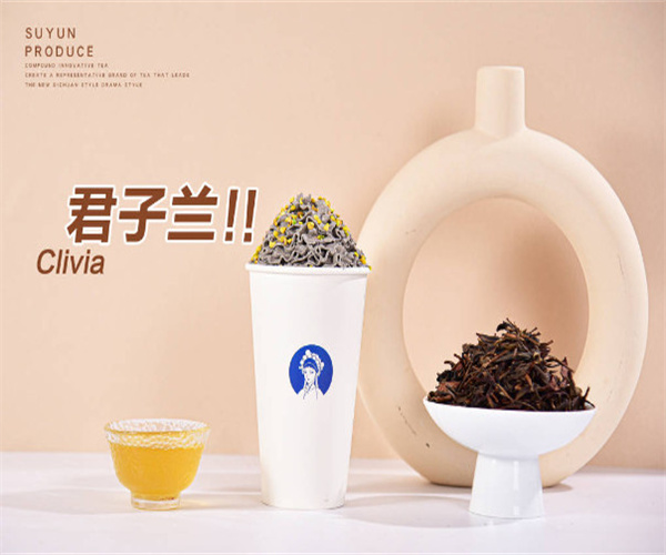 素允奶茶加盟费
