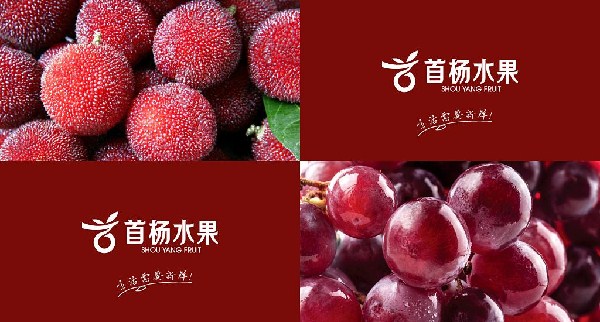 首杨水果加盟