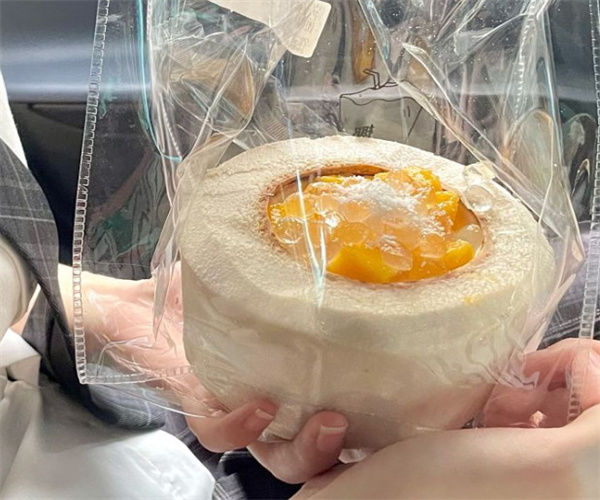 椰子脑袋加盟费