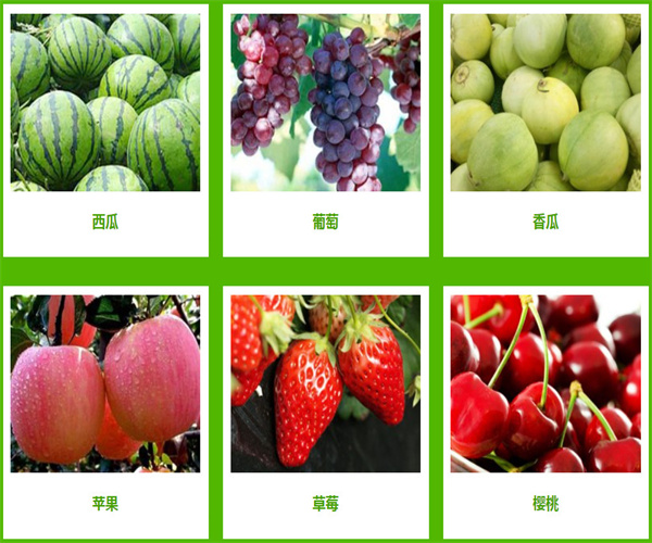 菜麦麦生鲜加盟费