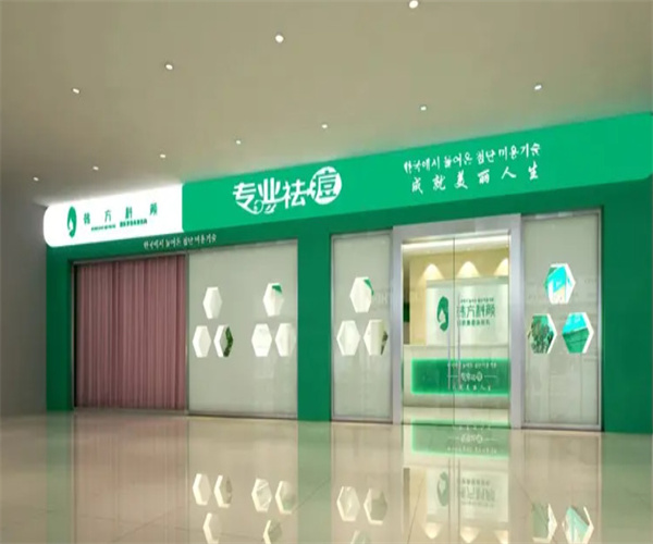 韩方科颜专业祛痘加盟