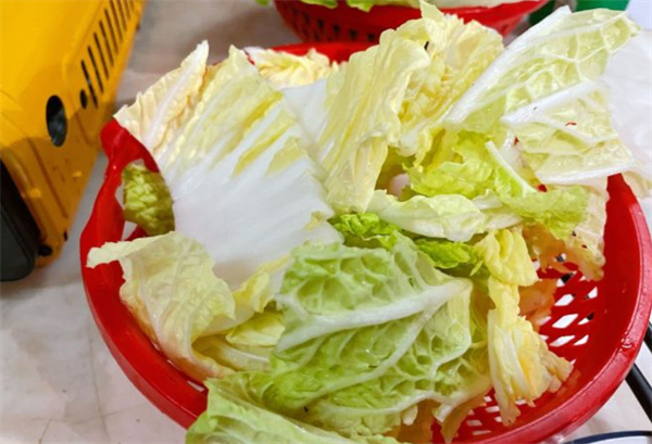 老川味江油肥肠川菜馆加盟
