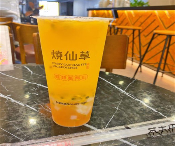 茶夫乐烧仙草加盟