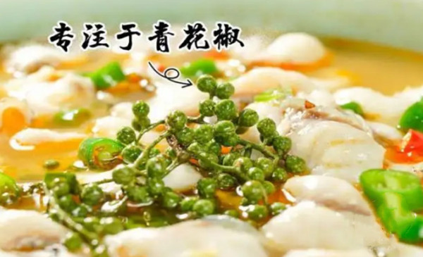 青花椒酸菜鱼加盟