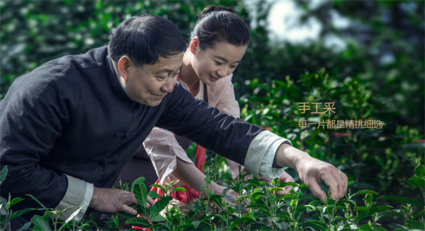 小罐茶加盟