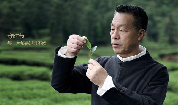 小罐茶加盟