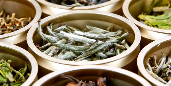 小罐茶加盟