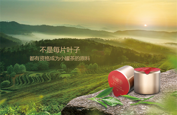 小罐茶加盟