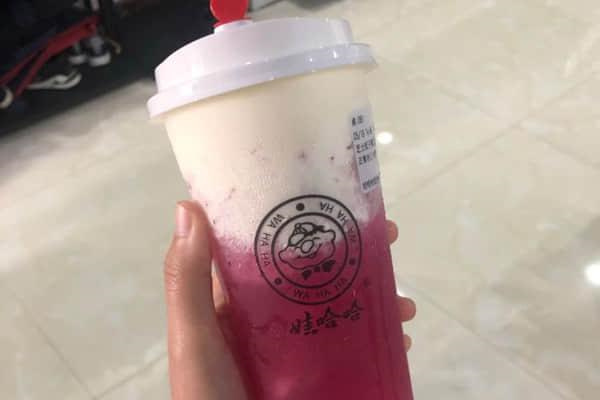 【娃哈哈奶茶加盟】开娃哈哈奶茶加盟店赚得多多！