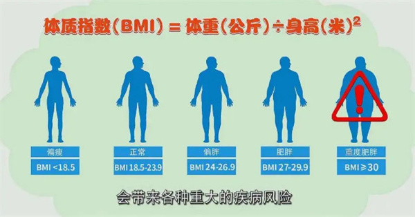 专业减肥加盟