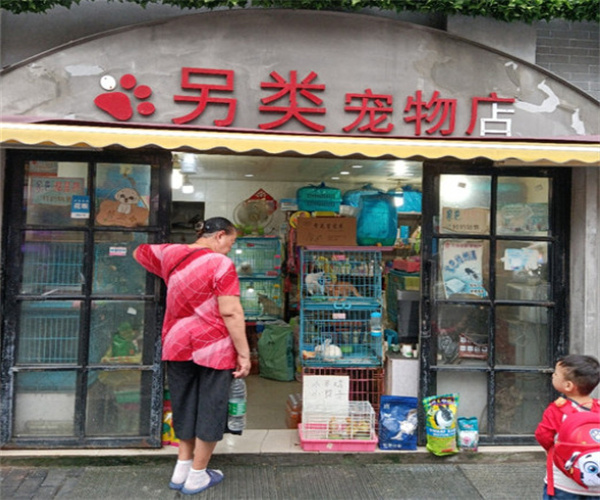 另类宠物店加盟