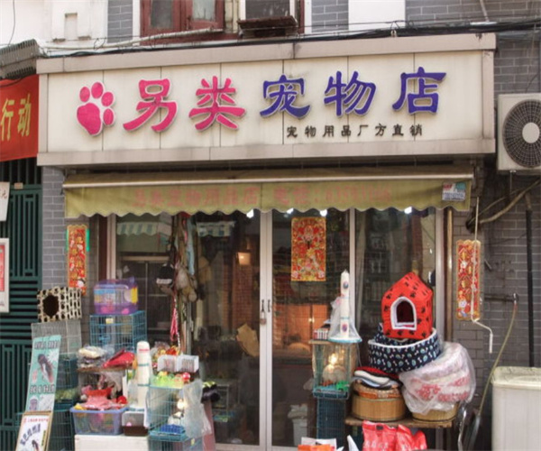 另类宠物店加盟费