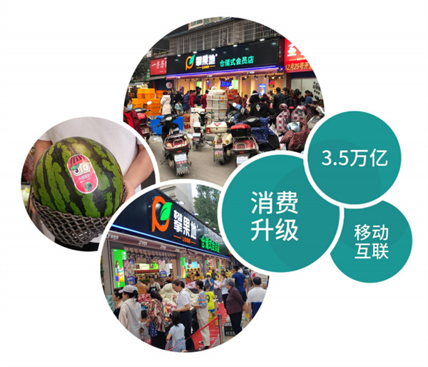 攀果地仓储式会员店加盟