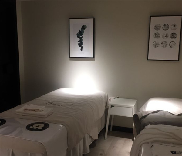 三只熊皮肤管理