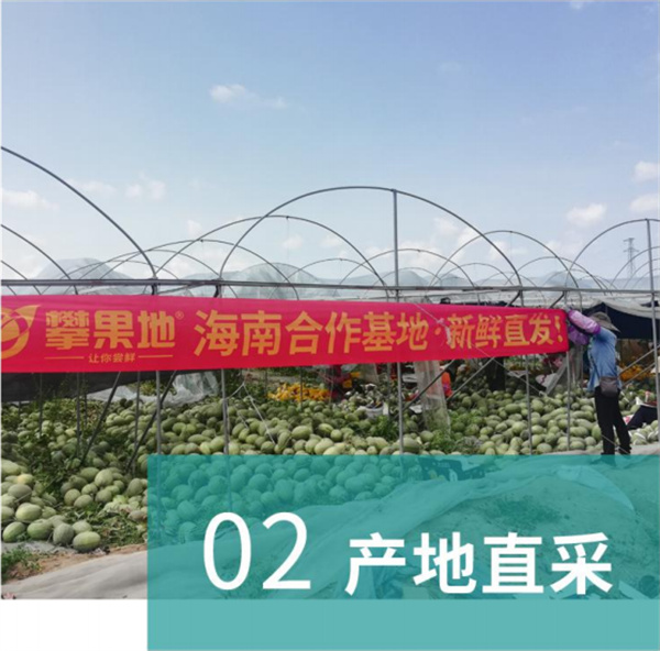 攀果地仓储式会员店加盟