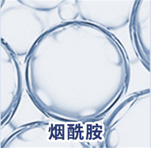 斑小将加盟