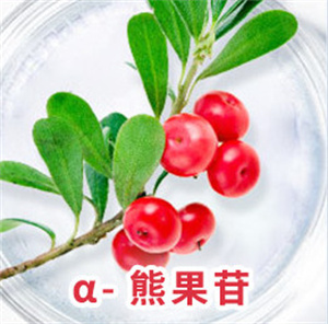 斑小将加盟