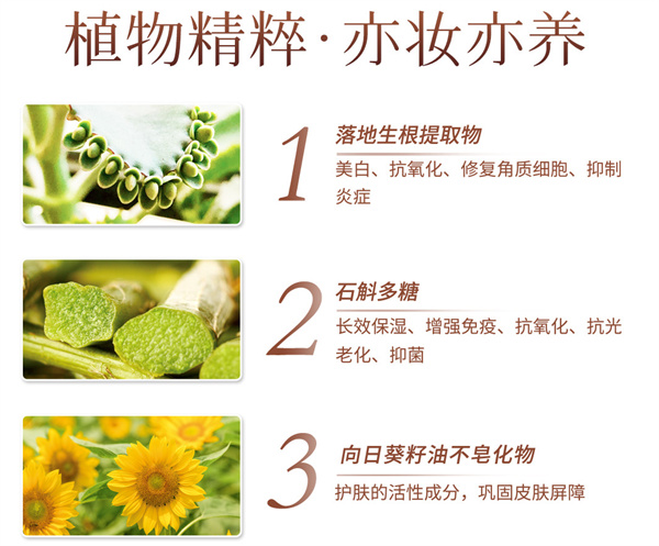 斑小将加盟