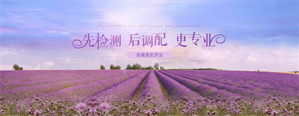 嘉柏俪代理费用