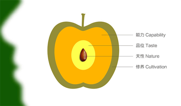 杨梅红教育加盟费