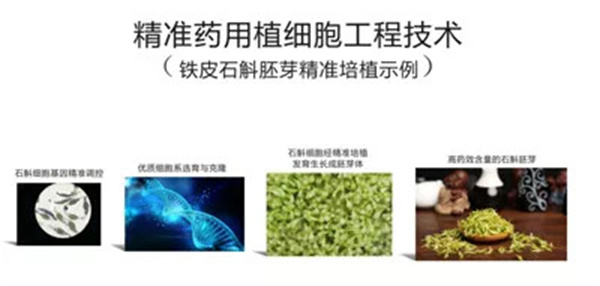 御本堂加盟