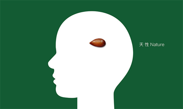 杨梅红加盟