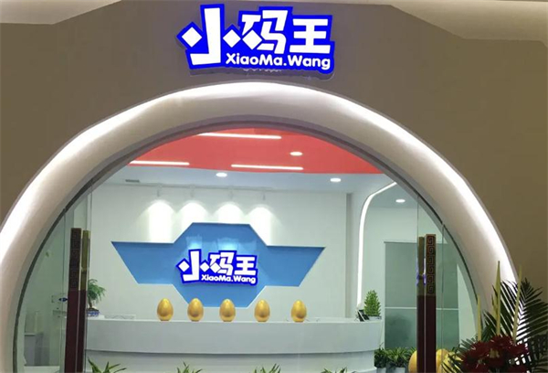 小码王少儿编程加盟
