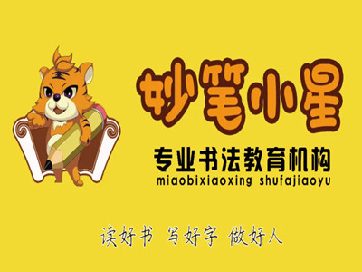 妙笔小星书法