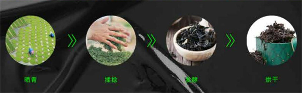 柠檬巴士加盟