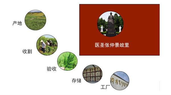 百岁葫芦灸加盟