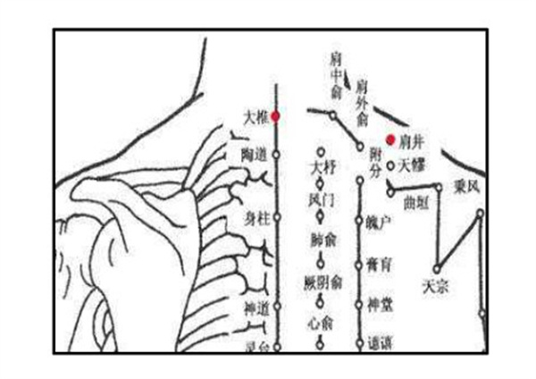 百岁葫芦灸加盟