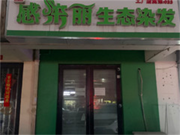 感染丽生态染发加盟