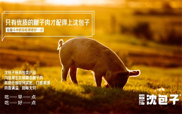 沈包子加盟