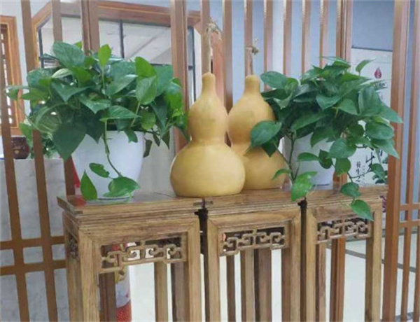 百岁葫芦灸加盟