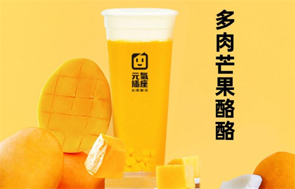 元气插座加盟