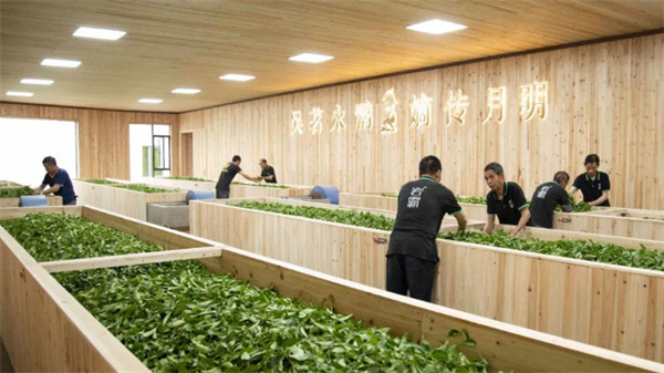 岩霸茶业