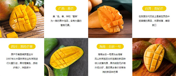 我很芒加盟