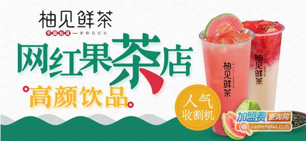 柚见鲜茶加盟
