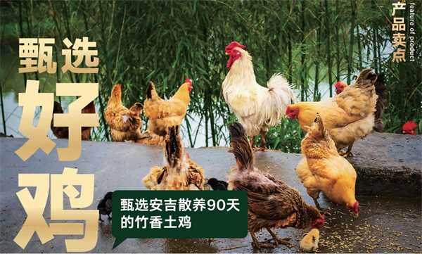 竹一隐叫花鸡加盟