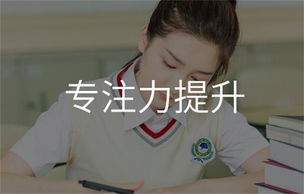 天脑传奇加盟