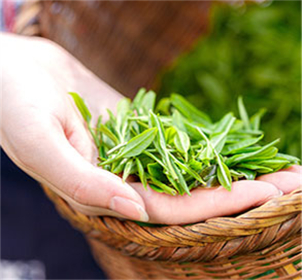 和気桃桃奶茶加盟费