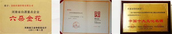 杜康酒加盟