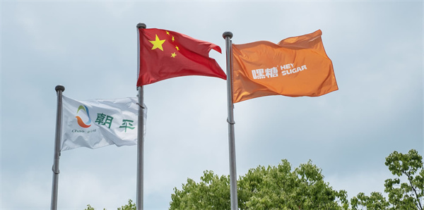 嘿糖奶茶加盟