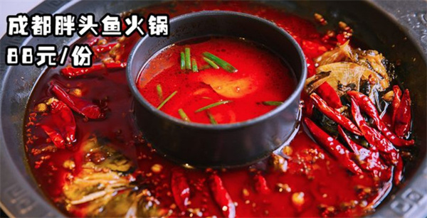 不给叫美蛙鱼头加盟