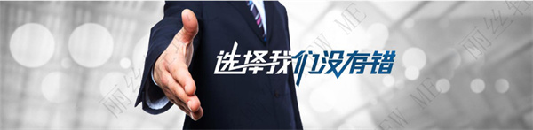 丽丝轻增发