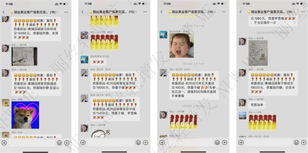 丽丝轻增发