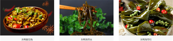 友鸭加盟