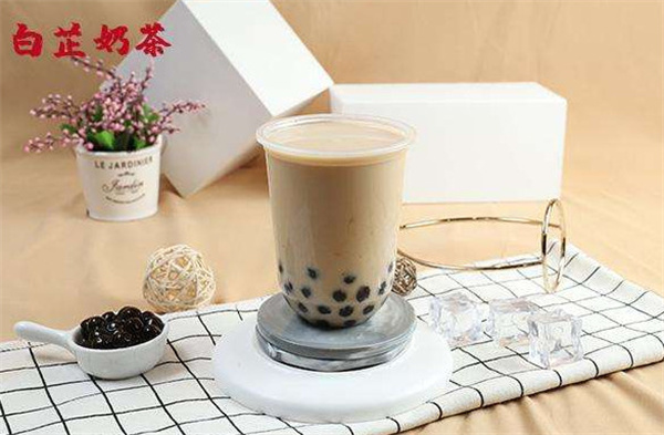 白芷奶茶加盟费